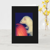 Het fret en de Pompoen Kaart (Gele Bloem)