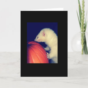 Het fret en de Pompoen Kaart