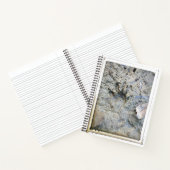 Het Frog's Foot College-Reign Notitieboek (Binnen)