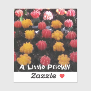 Het Fruit van de cactus Sticker