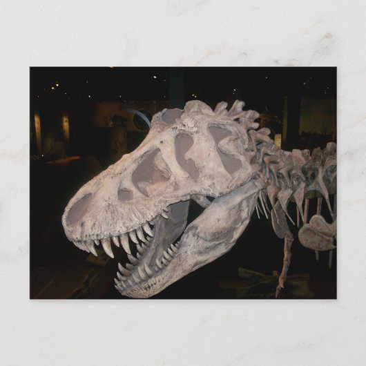 Het gaat je opeten!!! briefkaart (Voorkant)