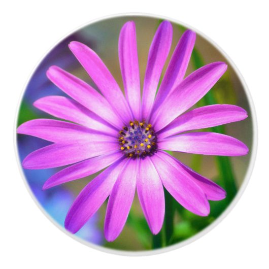 Het gaat over mij Daisy keramische knop (Voorkant)