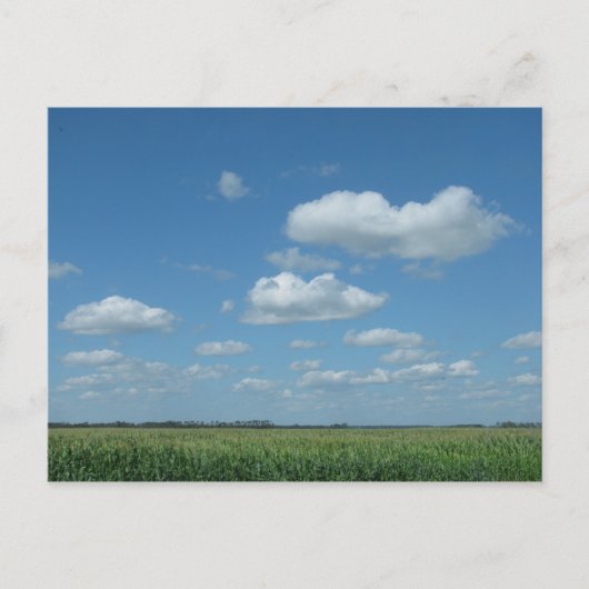 Het Gebied Graan van het Noord- van Dakota Briefkaart (Voorkant)