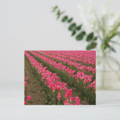Het gebied van de Fotografie van de Tulpen van de  Briefkaart (Staand voorkant)