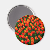 Het gebied van de Heldere Oranje Tulpen - de Kunst Magneet (Voorkant / Achterkant)