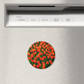 Het gebied van de Heldere Oranje Tulpen - de Kunst Magneet (Insitu (Vaatwasser))