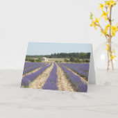 Het Gebied van de lavendel in de Provence Kaart (Gele Bloem)