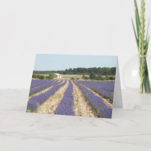 Het Gebied van de lavendel in de Provence Kaart