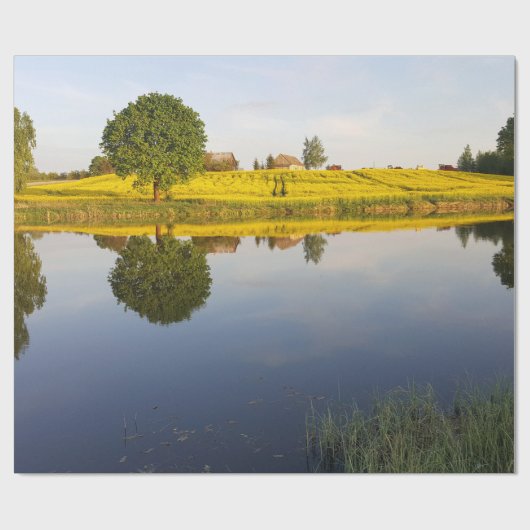 Het gebied van het raapzaad cadeaupapier (Vlak)