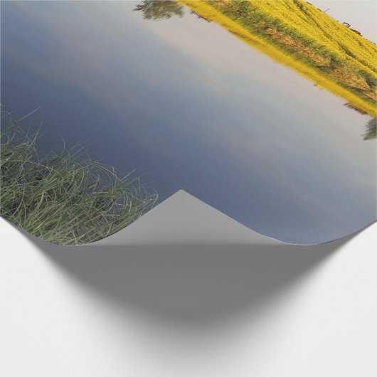 Het gebied van het raapzaad cadeaupapier (Hoek)