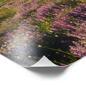 Het gebied van lupine, Mt. Olympus en wolken op Foto Afdruk (Hoek)