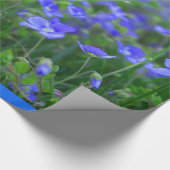 Het gebied van vergeet me Nots Cadeaupapier (Hoek)