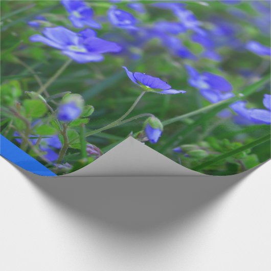 Het gebied van vergeet me Nots Cadeaupapier (Hoek)