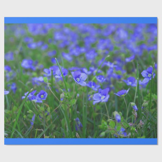 Het gebied van vergeet me Nots Cadeaupapier (Vlak)