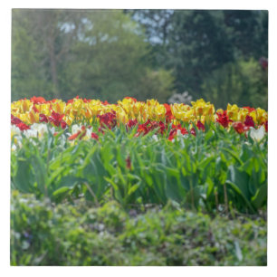 Het gebieds ceramiektegel van de tulp tegeltje