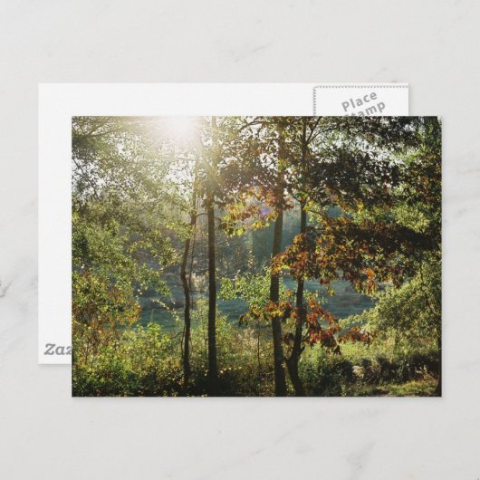 Het Gebladerte van de herfst Briefkaart (Voorkant / Achterkant)