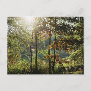 Het Gebladerte van de herfst Briefkaart