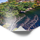 Het Gebladerte van de herfst rond Meer Minnewaska Foto Afdruk (Hoek)