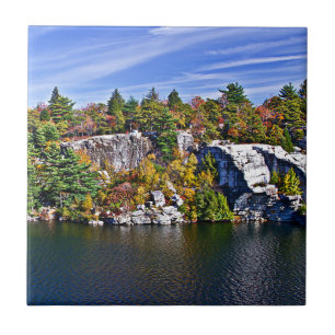 Het Gebladerte van de herfst rond Meer Minnewaska Tegeltje