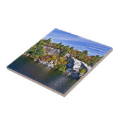 Het Gebladerte van de herfst rond Meer Minnewaska Tegeltje (Zijkant)