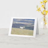 Het geboren Vrije Paard van de Mustang Kaart (Gele Bloem)