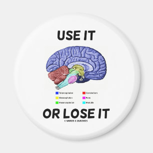 Het gebruik het of verliest het (het Gezegde van Magneet