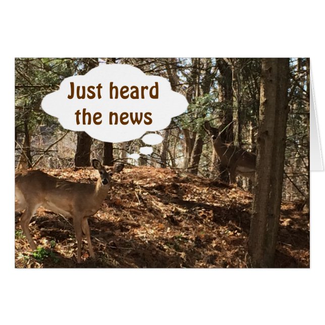 HET GEBRUIK VAN DEER COUPLE ZEGT: "U BENT ***21*** (Voorkant Horizontaal)