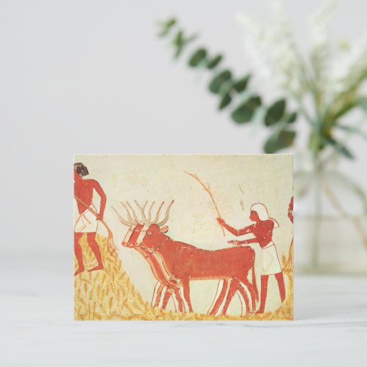 Het gebruiken van koeien om tarwe te vertrappelen briefkaart (Staand voorkant)