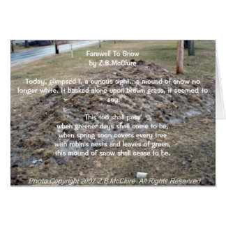 het gedicht van de sneeuwvogel