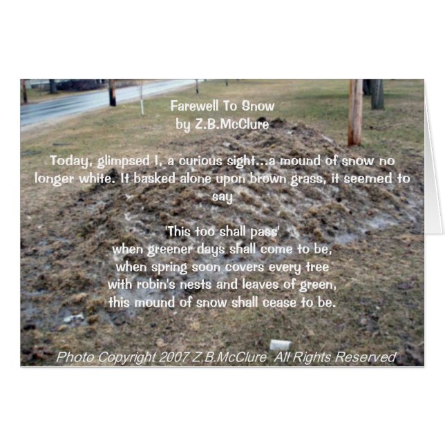 het gedicht van de sneeuwvogel (Voorkant Horizontaal)