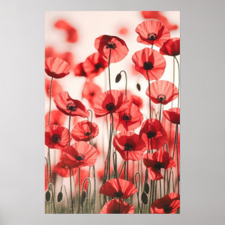 Het gefluister van de papavers poster