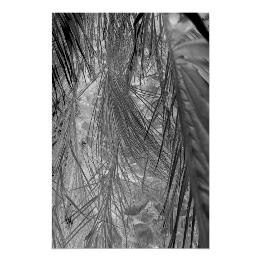 Het gefluister van de tropen perfect poster (Voorkant)