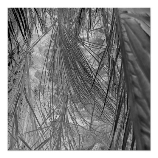 Het gefluister van de tropen perfect poster (Voorkant)