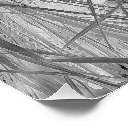 Het gefluister van de tropen perfect poster (Hoek)