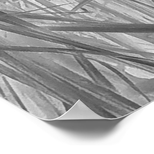 Het gefluister van de tropen poster (Hoek)