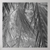 Het gefluister van de tropen poster (Voorkant)