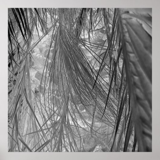 Het gefluister van de tropen poster (Voorkant)