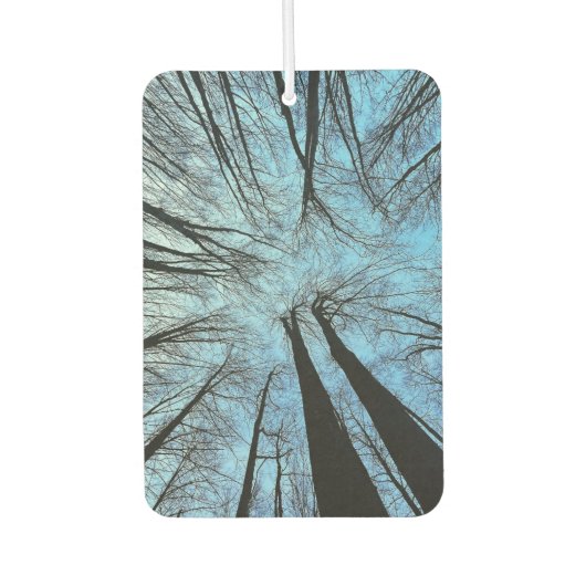 Het gefluister van het Whisper Forest Luchtverfrisser (Voorkant)