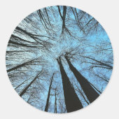 Het gefluister van het Whisper Forest Ronde Sticker (Voorkant)