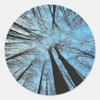 Het gefluister van het Whisper Forest Ronde Sticker