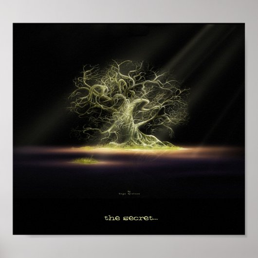 het geheim ? poster (Voorkant)