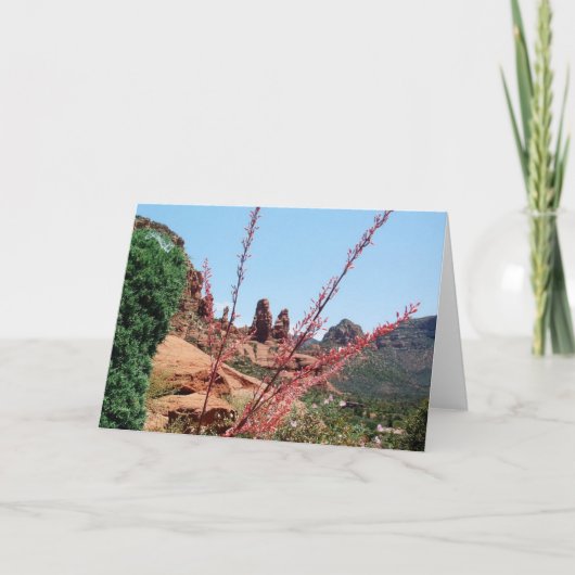 Het geheim van de Rode rots-Lege kaart (Voorkant)