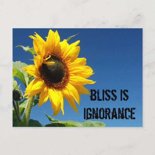 Het geheim van geluk is complete onwetendheid briefkaart (Voorkant)