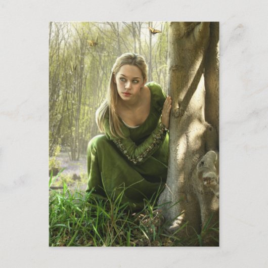 Het geheime Briefkaart van het bos (Voorkant)