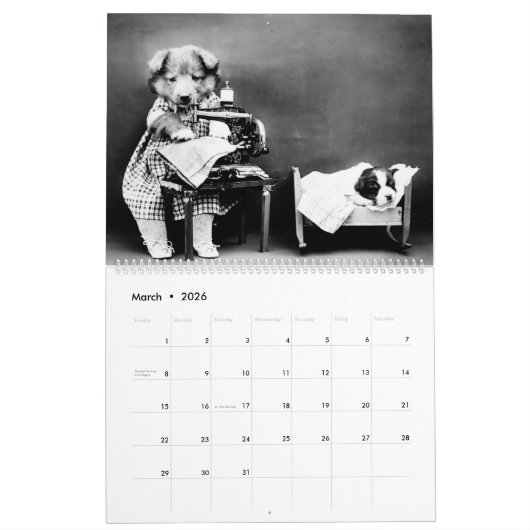 Het geheime leven van  katten en honden kalender (Mar 2026)