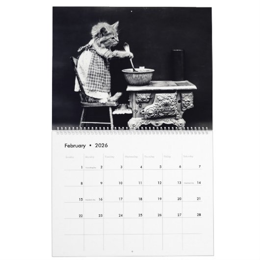 Het geheime leven van katten en honden kalender (Feb 2026)