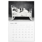 Het geheime leven van  katten en honden kalender (Jan 2027)