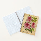 Het geheime Notitieboek van de Azalea (Binnen)