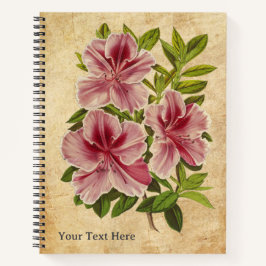 Het geheime Notitieboek van de Azalea