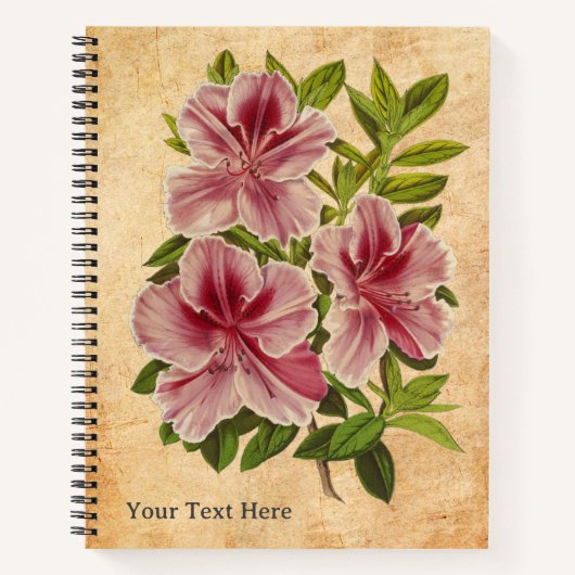 Het geheime Notitieboek van de Azalea (Voorkant)